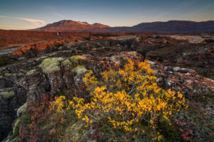 Autumn in Þingvellir national park