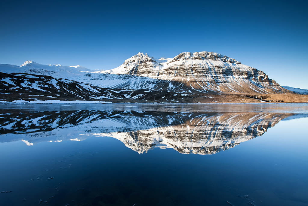 Myrarhyrna - Arctic Exposure