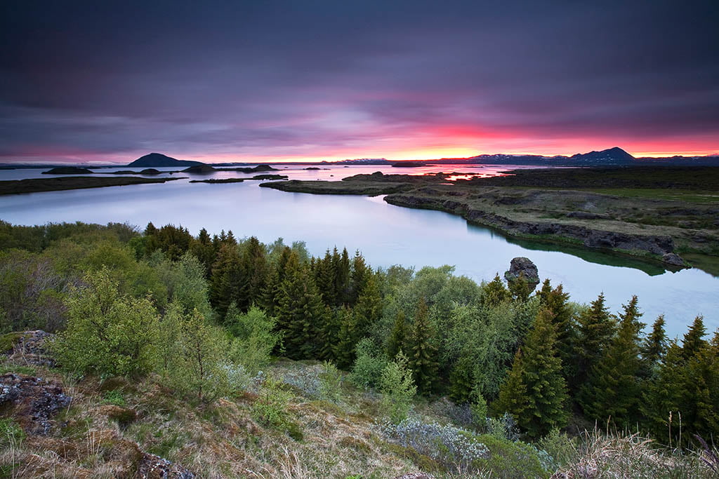 Summer - Arctic Exposure