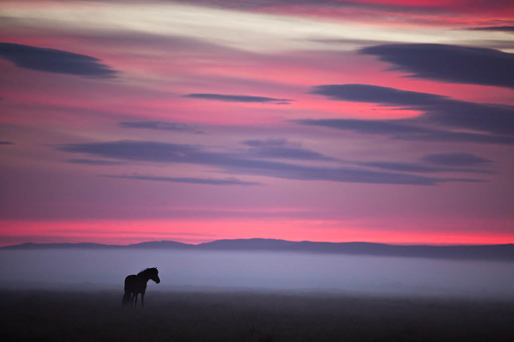 Summer - Arctic Exposure